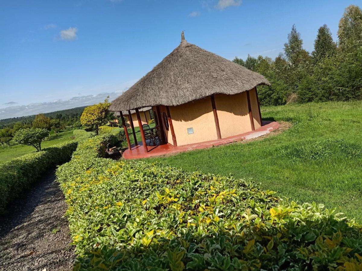 The Great Circle Lodge Nanyuki Luaran gambar
